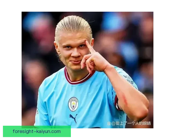 莱万多夫斯基与哈兰德本赛季表现对比：状态稳定性和进球效率分析